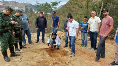 Dia da Árvore é celebrado com plantio de mudas em Manhuaçu