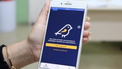 app Pardal denuncia eleitoral