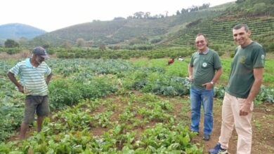 Agricultura Sindicato Trabalhadores Rurais ACEAS Manhuaçu