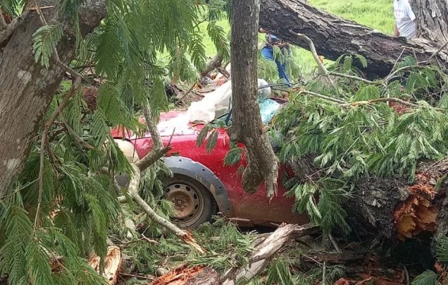 Árvore cai sobre carro em Aimorés; motorista fica ferido